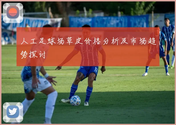 人工足球场草皮价格分析及市场趋势探讨