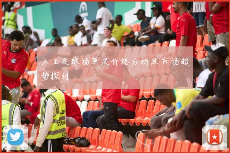 人工足球场草皮价格分析及市场趋势探讨